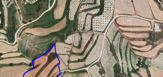Landwirtschaftliches Baugebiet in Paphos zu verkaufen