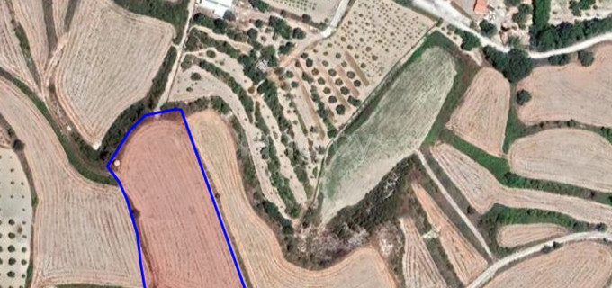 Landwirtschaftliches Baugebiet in Paphos zu verkaufen