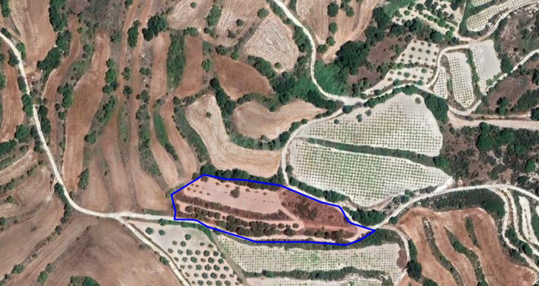 Terrain agricole à vendre à Paphos
