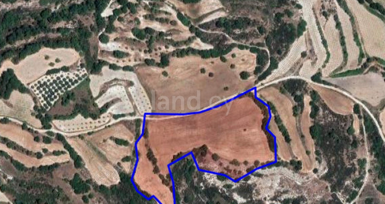 Agricultural field for sale in Paphos