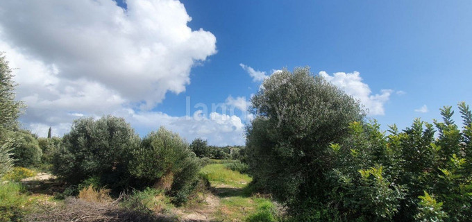 Residential plot for sale in Paphos