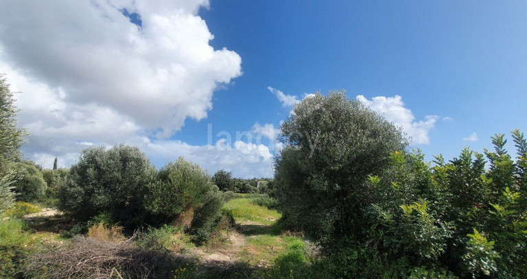 Wohnbaugrundstück in Paphos zu verkaufen