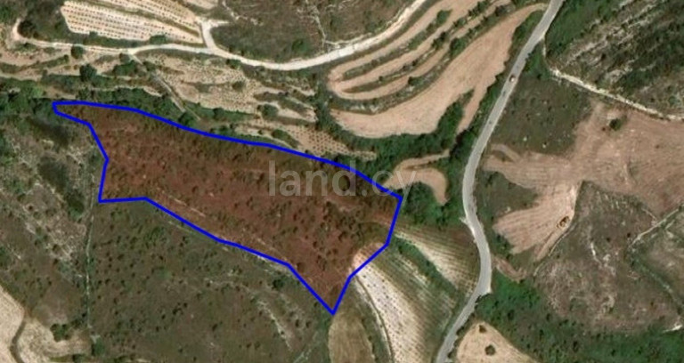 Campo agrícola a la venta en Paphos