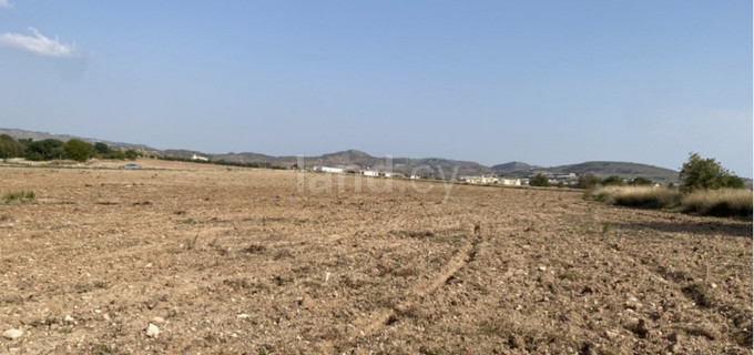 Residential field for sale in Paphos