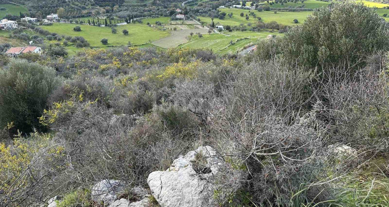 Campo agrícola a la venta en Paphos