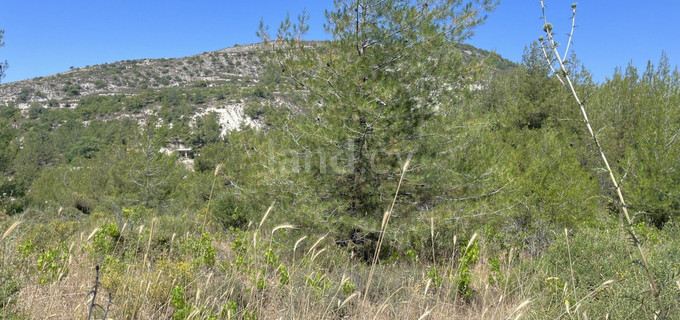Residential field for sale in Limassol