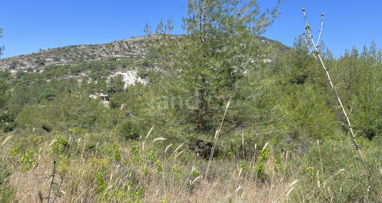 Campo residencial a la venta en Limassol