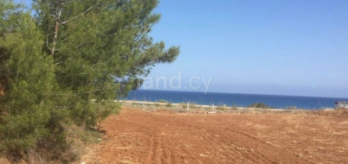 Działka mieszkaniowa na sprzedaż w Paphos
