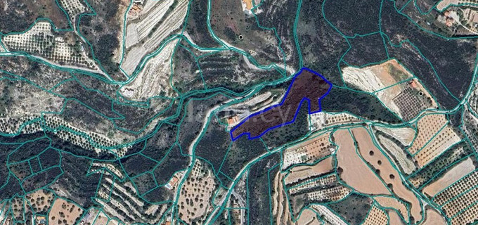 Landwirtschaftliches Baugebiet in Paphos zu verkaufen