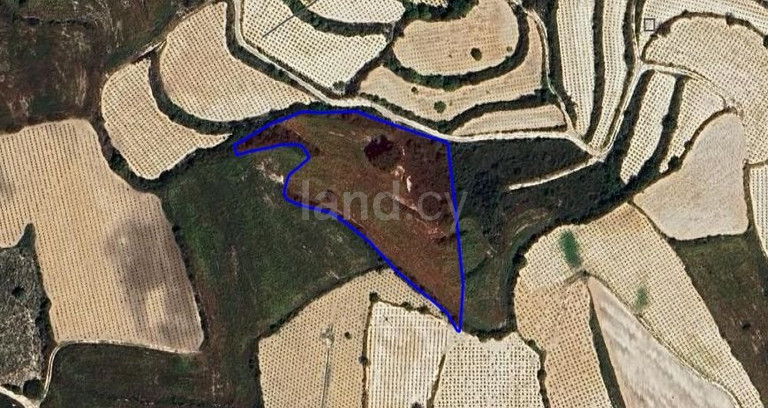 Campo agrícola a la venta en Paphos