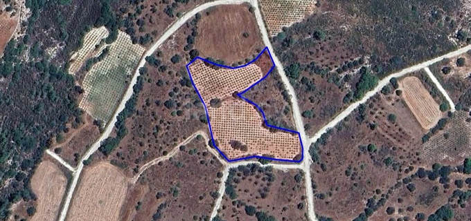 Campo agrícola a la venta en Paphos