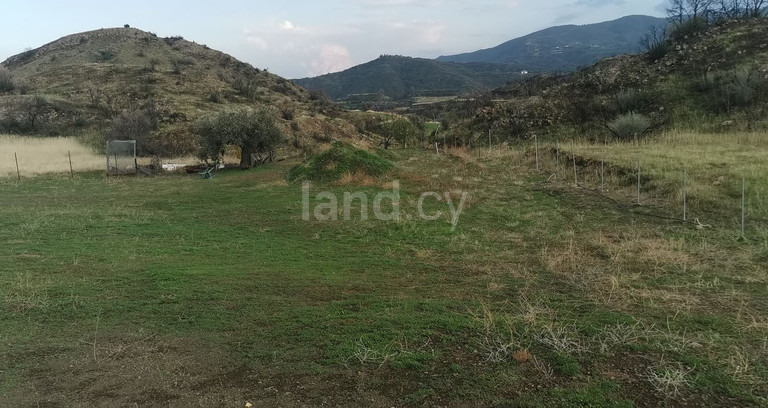 Agricultural field for sale in Limassol