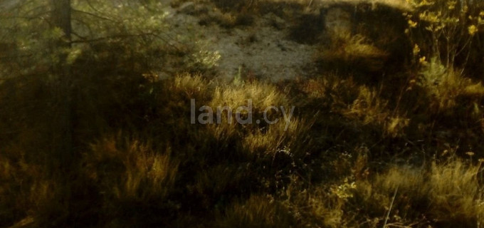 Residential field for sale in Limassol