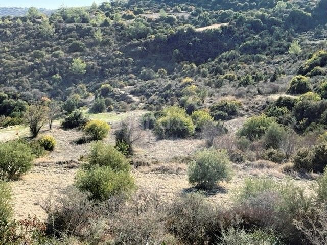 Terrain agricole à vendre à Limassol