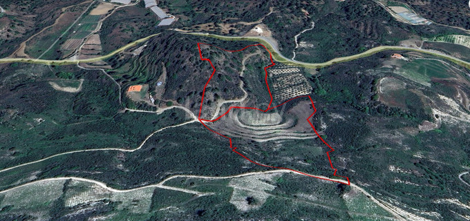 Agricultural field for sale in Limassol