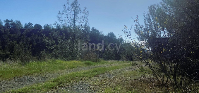 Parcela a la venta en Limassol
