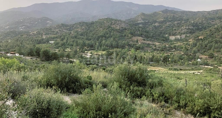 Agricultural field for sale in Limassol