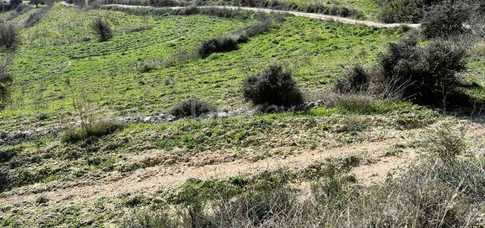 Fält till salu i Limassol
