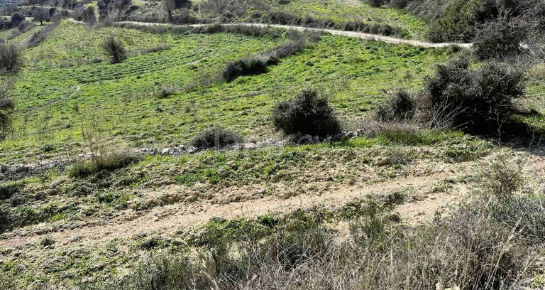 Campo a la venta en Limassol