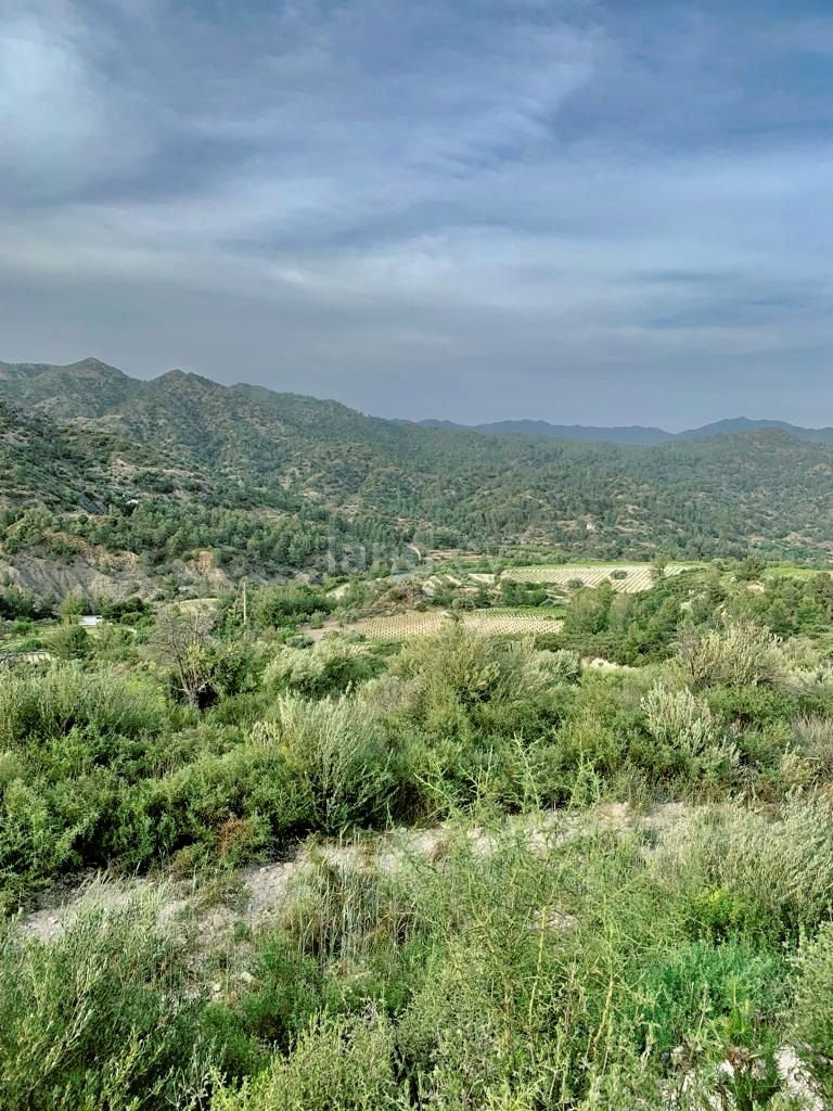 Αγροτικό αγροτεμάχιο προς πώληση - Λεμεσός