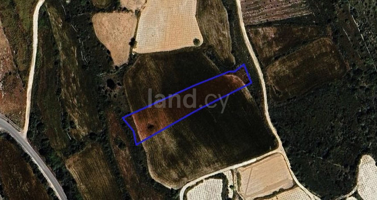 Landwirtschaftliches Baugebiet in Paphos zu verkaufen