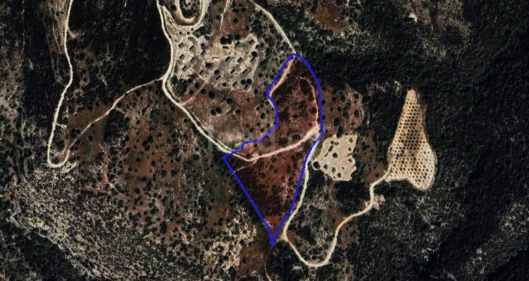 Pole rolne na sprzedaż w Paphos