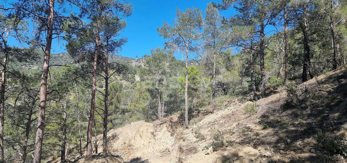 Parcela residencial a la venta en Limassol