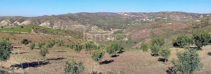 Pole rolne na sprzedaż w Paphos