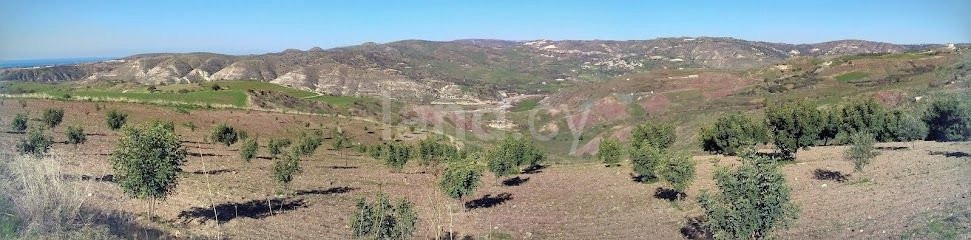 Landwirtschaftliches Baugebiet in Paphos zu verkaufen