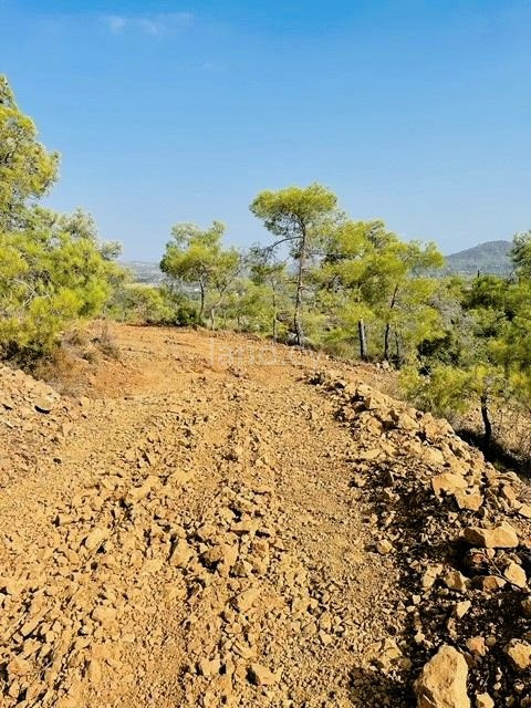 Parcela residencial a la venta en Larnaca