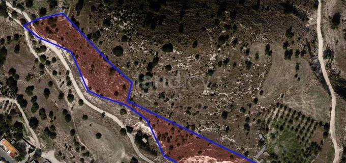 Residential field for sale in Paphos