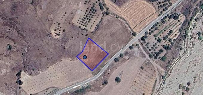 Agricultural field for sale in Paphos