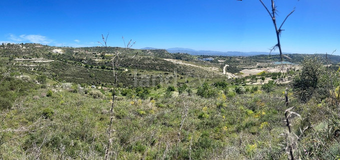 Landwirtschaftliches Baugebiet in Paphos zu verkaufen