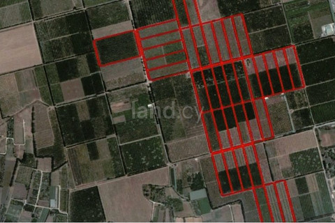 Field for sale in Limassol