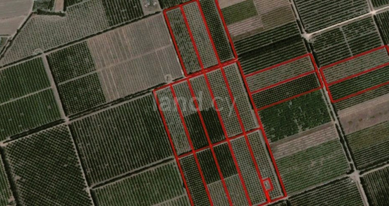 Field for sale in Limassol