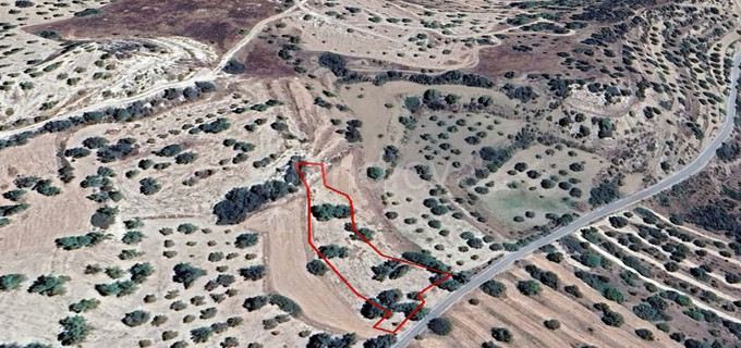 Landwirtschaftliches Baugebiet in Limassol zu verkaufen