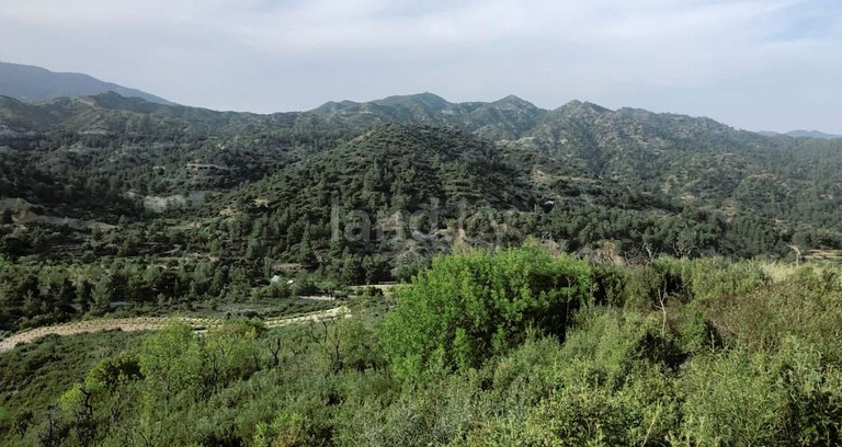 Campo agrícola a la venta en Limassol