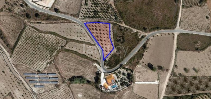 Campo agrícola a la venta en Paphos