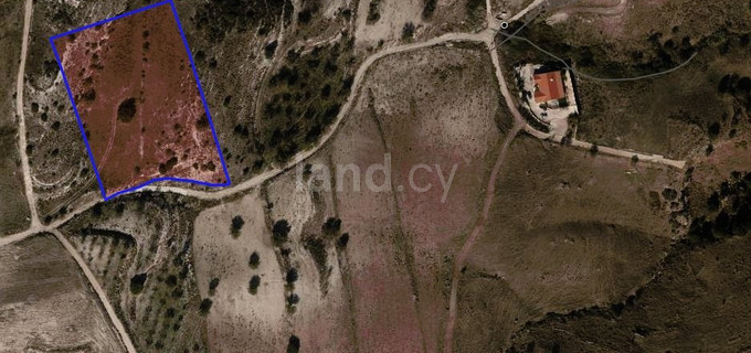 Campo agrícola a la venta en Paphos