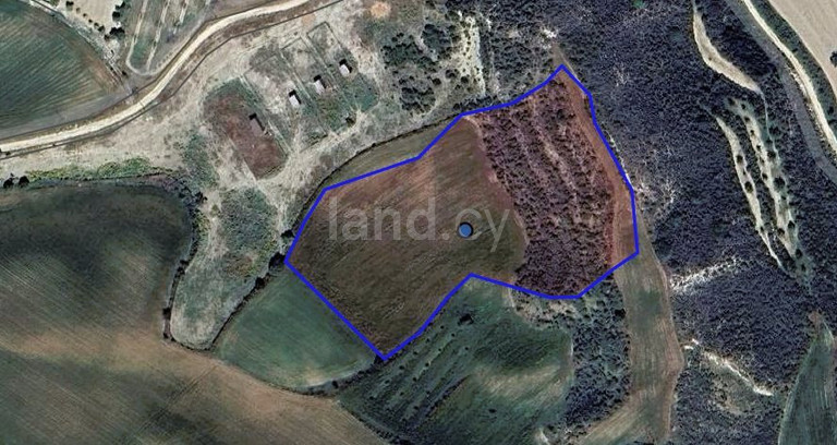 Campo agrícola a la venta en Paphos