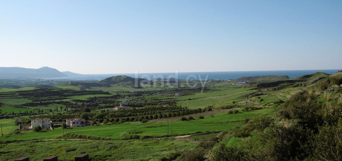 Agricultural field for sale in Paphos
