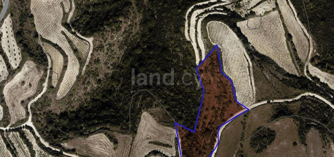 Campo agrícola a la venta en Paphos