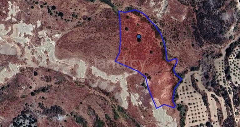 Terrain agricole à vendre à Paphos