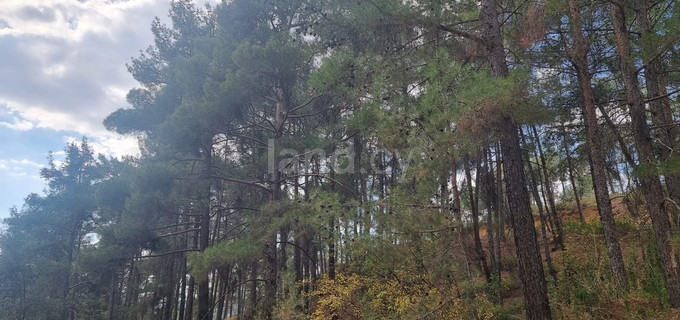 Residential field for sale in Limassol