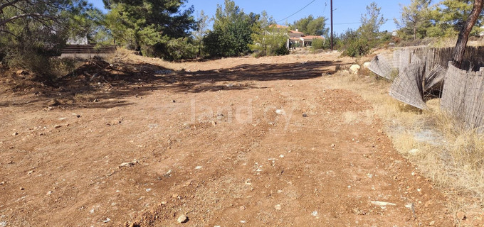 Pole rolne na sprzedaż w Limassol