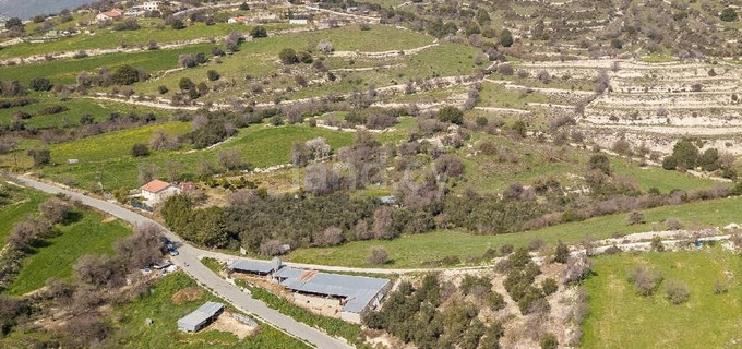 Residential field for sale in Limassol