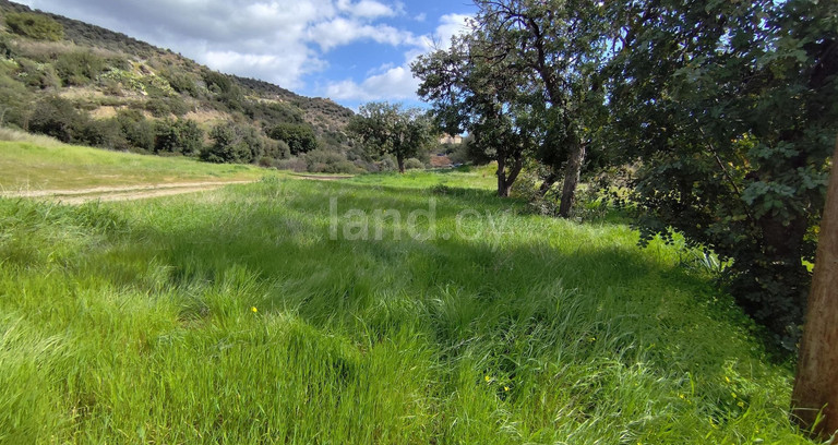 Terrain agricole à vendre à Limassol