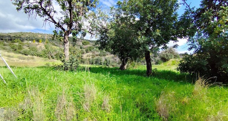 Landwirtschaftliches Baugebiet in Limassol zu verkaufen