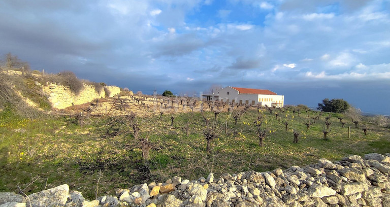 Campo residencial a la venta en Limassol