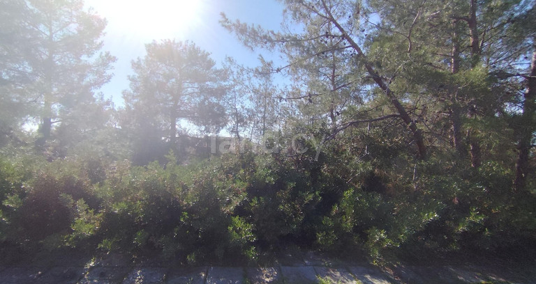 Agricultural field for sale in Limassol
